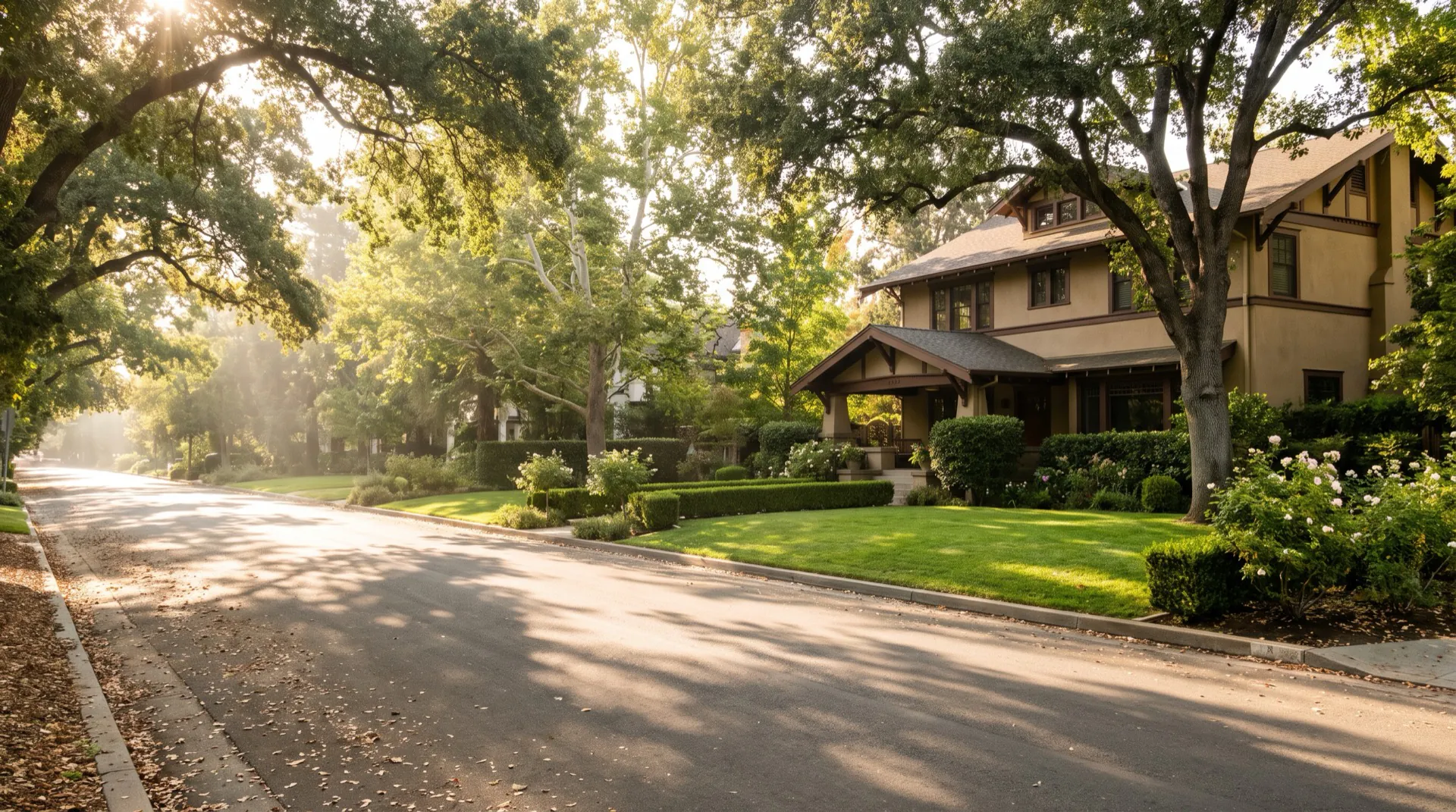 Tree-lined upscale residential neighborhood in Sacramento
